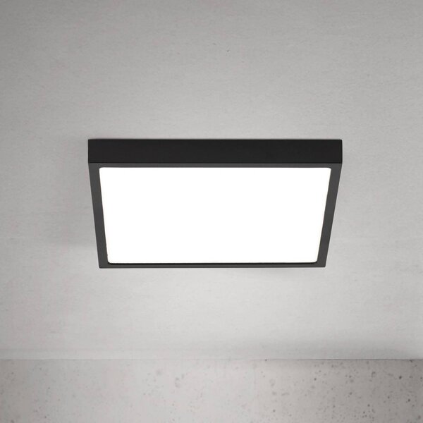 ORION stropné LED svetlo Disc, čierne, dĺžka 24 cm, kov, Čierna, Obývacia izba / jedáleň, Hliník, Moderný, Stropné svetlo