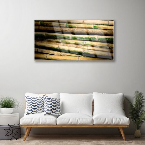 Obraz na skle Bambus rastlina príroda 100x50 cm 2 Prívesky