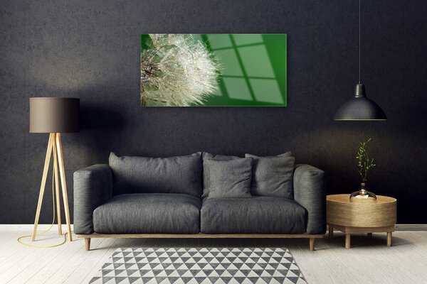 Obraz na skle Púpava rastlina 100x50 cm 2 Prívesky