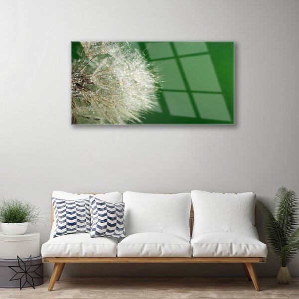 Obraz na skle Púpava rastlina 100x50 cm 2 Prívesky