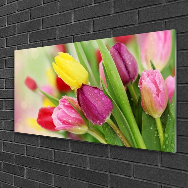 Obraz na skle Tulipány kvety rastlina 100x50 cm 2 Prívesky