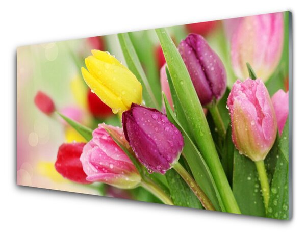 Nástenný panel  Tulipány kvety rastlina 125x50 cm
