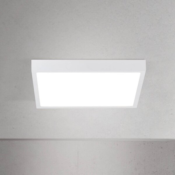 ORION stropné LED svetlo Disc, biele, dĺžka 24 cm, kov, Biela / opálová, Obývacia izba / jedáleň, Hliník, Moderný, Stropné svetlo
