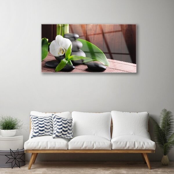 Obraz na skle Kvet kamene rastlina 100x50 cm 2 Prívesky
