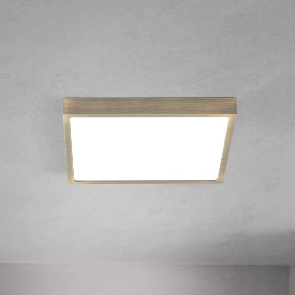 Stropné LED svetlo Disc, antická mosadzová farba, dĺžka 24 cm,, Hnedá / staromosadz, Obývacia izba / jedáleň, Hliník, Moderný, Stropné svetlo