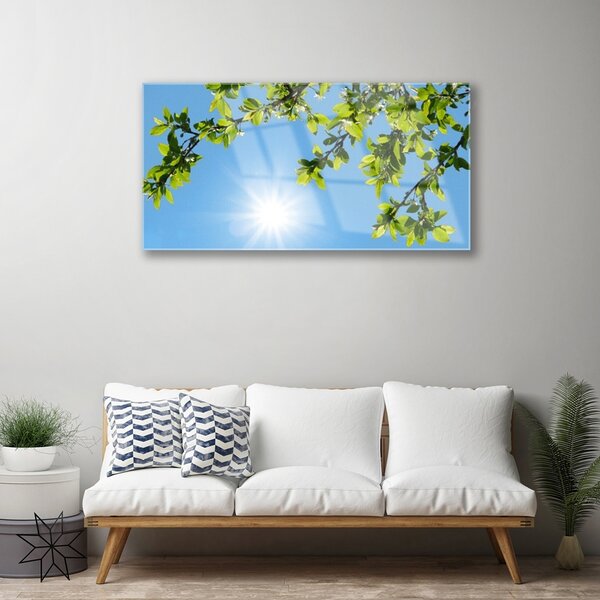 Obraz na skle Slnko príroda 100x50 cm 2 Prívesky