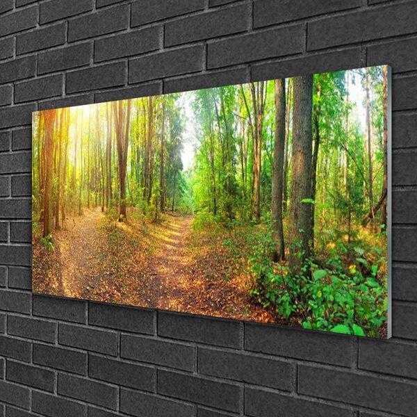 Obraz na skle Les príroda 100x50 cm 2 Prívesky