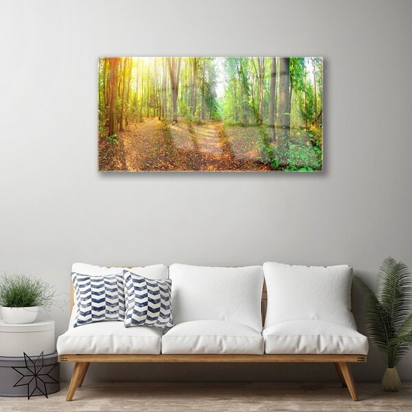 Obraz na skle Les príroda 100x50 cm 2 Prívesky
