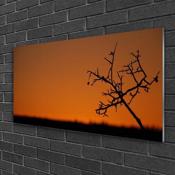 Obraz na skle Strom umenie 100x50 cm 2 Prívesky