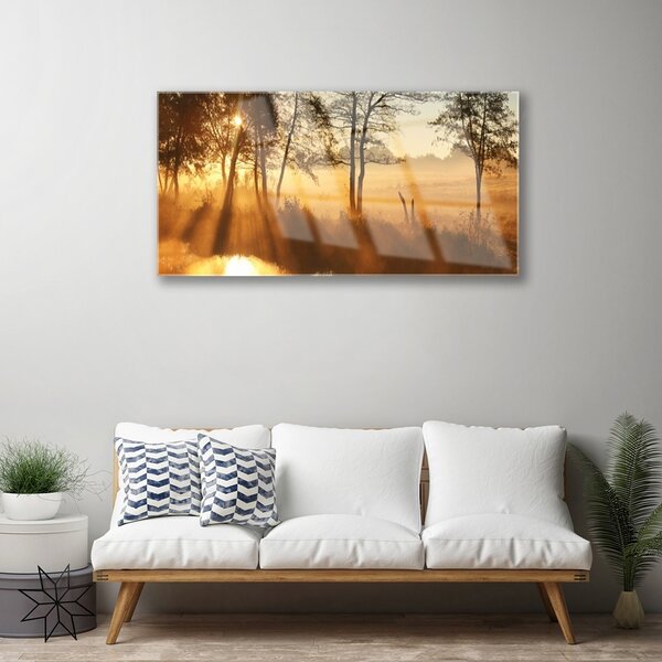 Obraz na skle Stromy príroda 100x50 cm 2 Prívesky