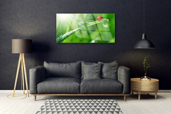 Obraz na skle Tráva lienka príroda 100x50 cm 2 Prívesky