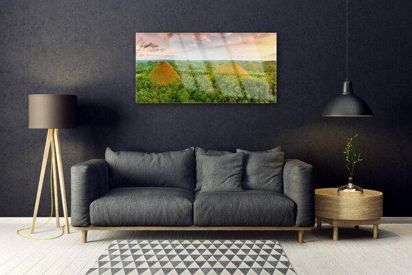Obraz na skle Les príroda 100x50 cm 2 Prívesky