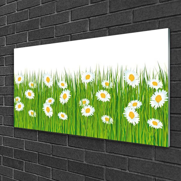 Obraz na skle Tráva sedmokrásky príroda 100x50 cm 2 Prívesky