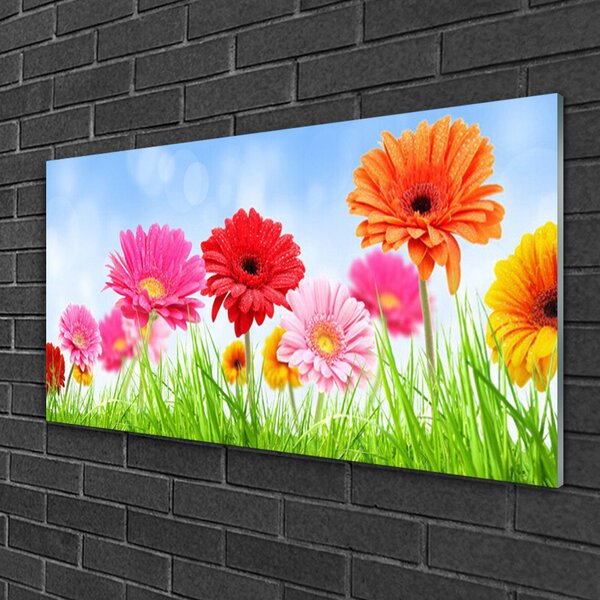 Obraz na skle Kvety tráva rastlina 100x50 cm 2 Prívesky