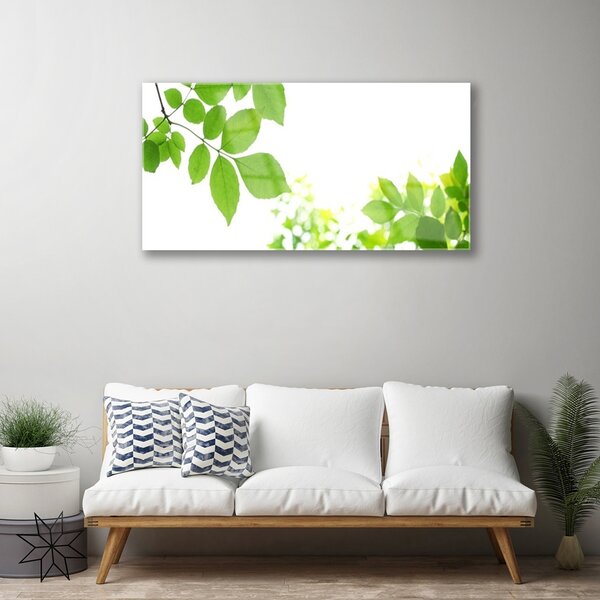 Skleneny obraz Plátky rastlina príroda 100x50 cm 2 Prívesky