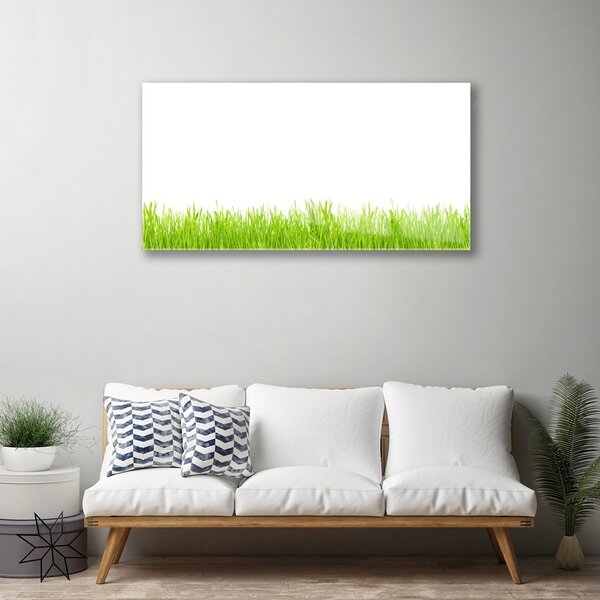 Skleneny obraz Tráva rastlina príroda 100x50 cm 2 Prívesky