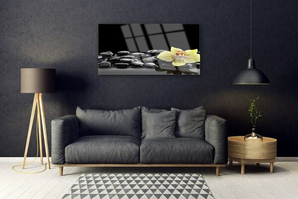 Skleneny obraz Kvet kamene kuchyňa 100x50 cm 2 Prívesky