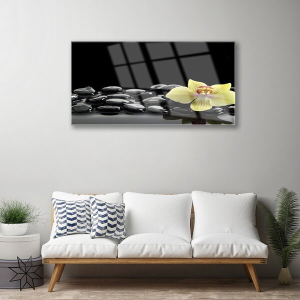 Skleneny obraz Kvet kamene kuchyňa 100x50 cm 2 Prívesky