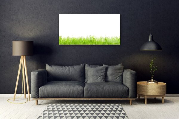 Skleneny obraz Tráva rastlina príroda 100x50 cm 2 Prívesky