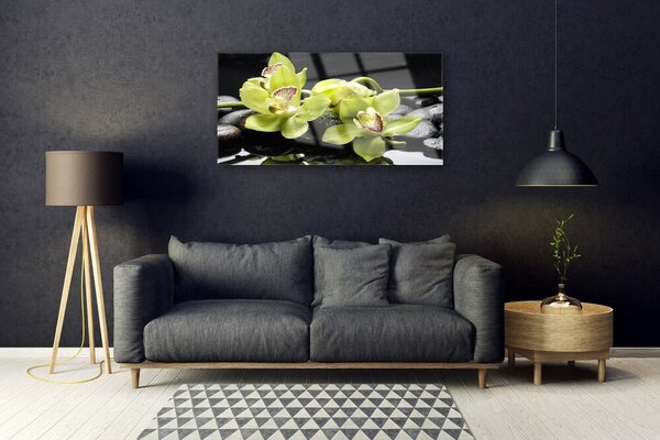 Skleneny obraz Kvet kamene rastlina 100x50 cm 2 Prívesky