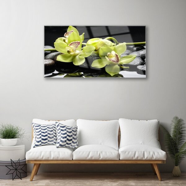 Skleneny obraz Kvet kamene rastlina 100x50 cm 2 Prívesky