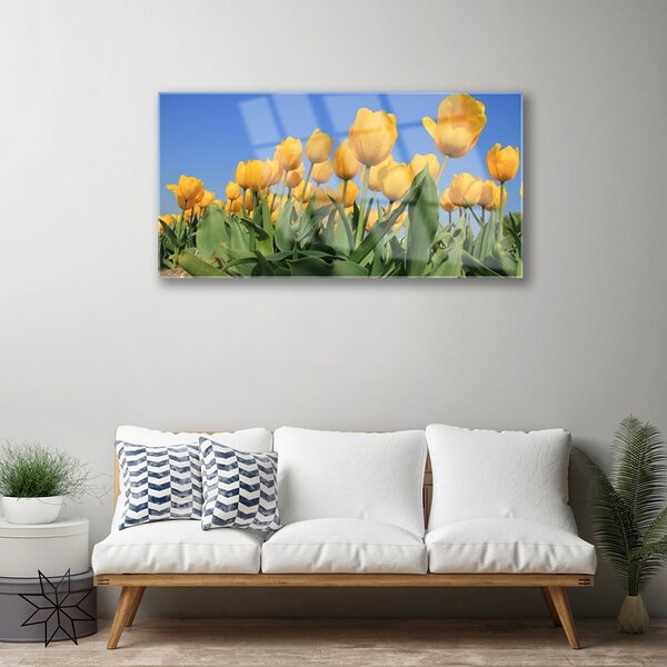 Skleneny obraz Tulipány kvety rastlina 100x50 cm 2 Prívesky