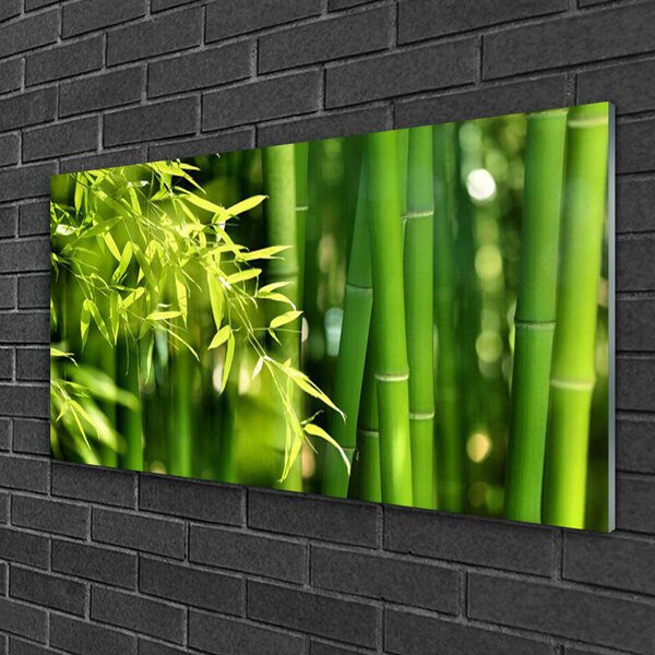Skleneny obraz Bambus listy rastlina 100x50 cm 2 Prívesky