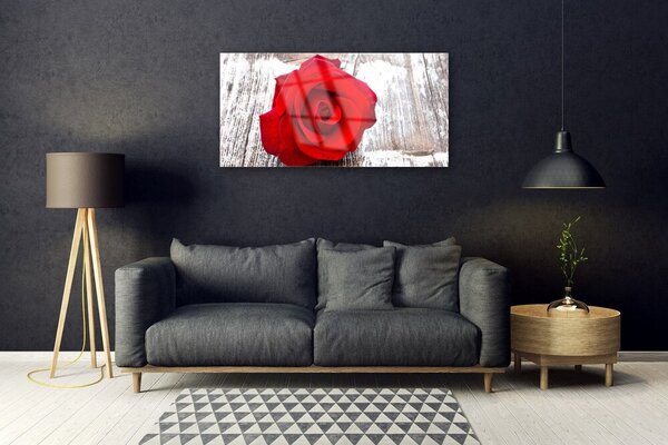 Skleneny obraz Ruže kvet rastlina 100x50 cm 2 Prívesky