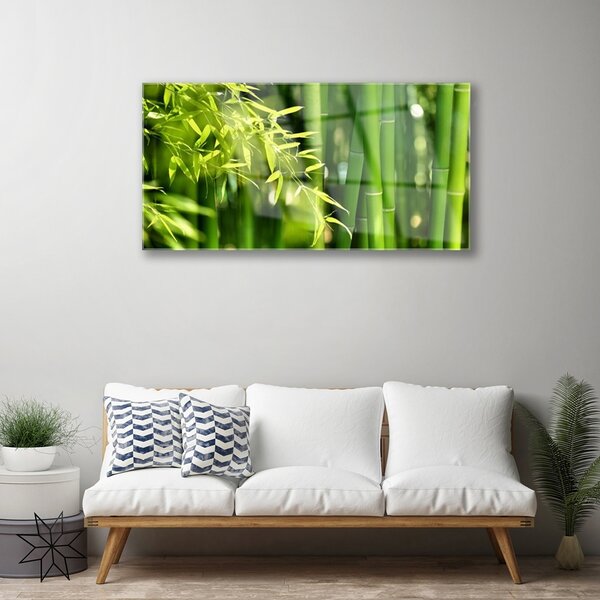 Skleneny obraz Bambus listy rastlina 100x50 cm 2 Prívesky