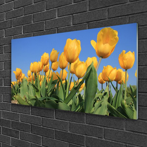 Skleneny obraz Tulipány kvety rastlina 100x50 cm 2 Prívesky