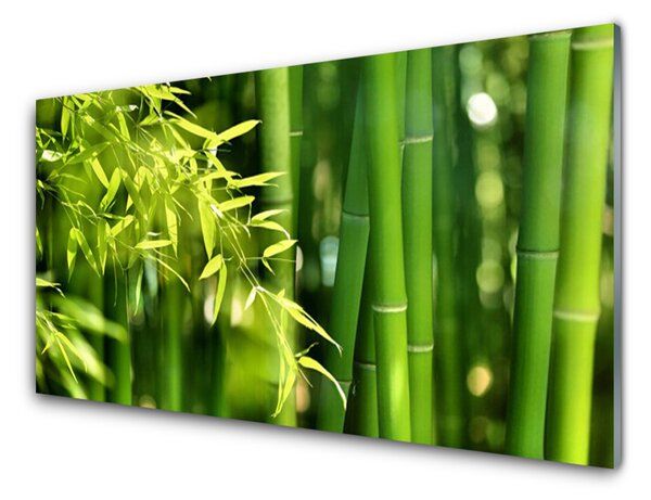 Sklenený obklad Do kuchyne Bambus listy rastlina 125x50 cm