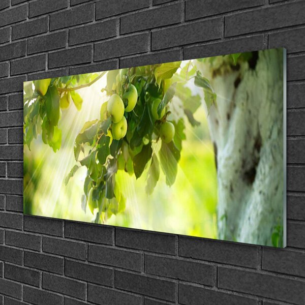 Skleneny obraz Jablká vetva strom príroda 100x50 cm 2 Prívesky
