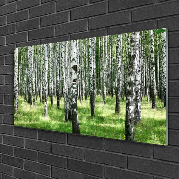 Skleneny obraz Les tráva rastlina príroda 100x50 cm 2 Prívesky