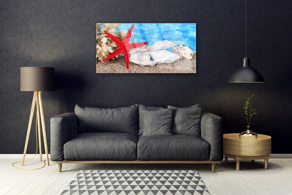 Skleneny obraz Hviezdice mušle príroda 100x50 cm 2 Prívesky