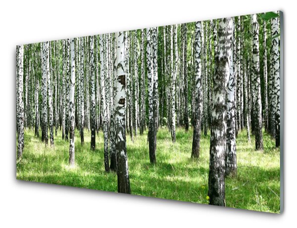 Sklenený obklad Do kuchyne Les tráva rastlina príroda 120x60 cm