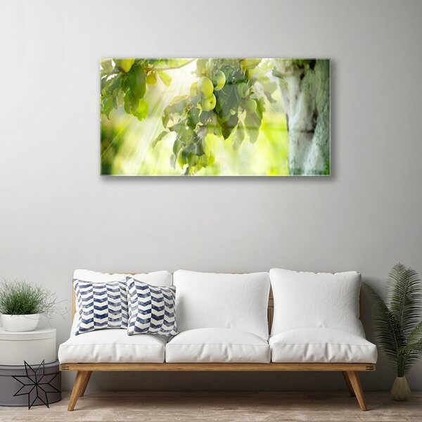 Skleneny obraz Jablká vetva strom príroda 100x50 cm 2 Prívesky
