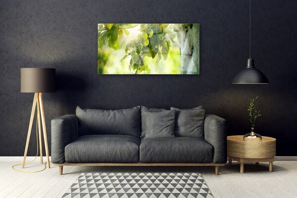 Skleneny obraz Jablká vetva strom príroda 100x50 cm 2 Prívesky