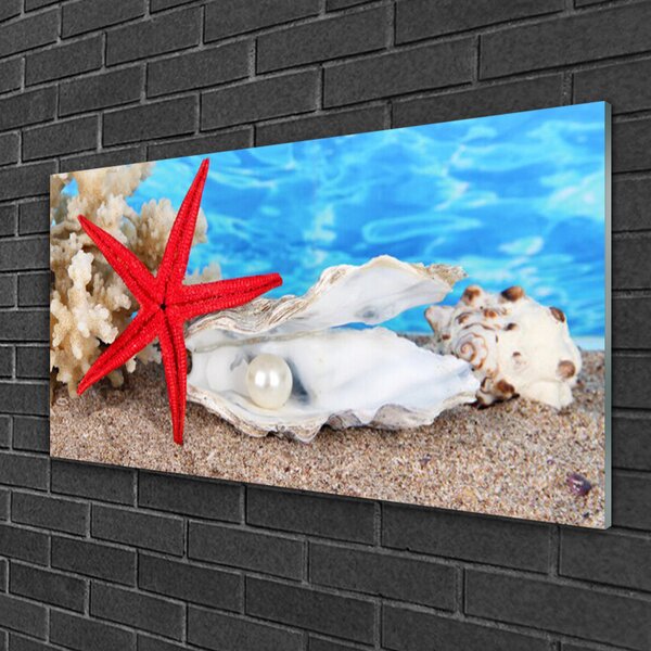 Skleneny obraz Hviezdice mušle príroda 100x50 cm 2 Prívesky