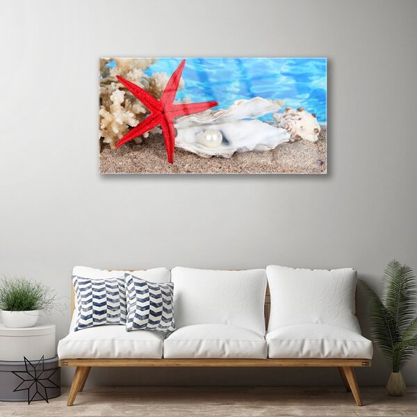 Skleneny obraz Hviezdice mušle príroda 100x50 cm 2 Prívesky