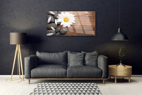 Skleneny obraz Sedmokráska kamene rastlina 100x50 cm 2 Prívesky