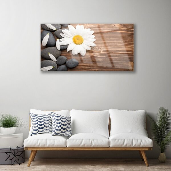 Skleneny obraz Sedmokráska kamene rastlina 100x50 cm 2 Prívesky