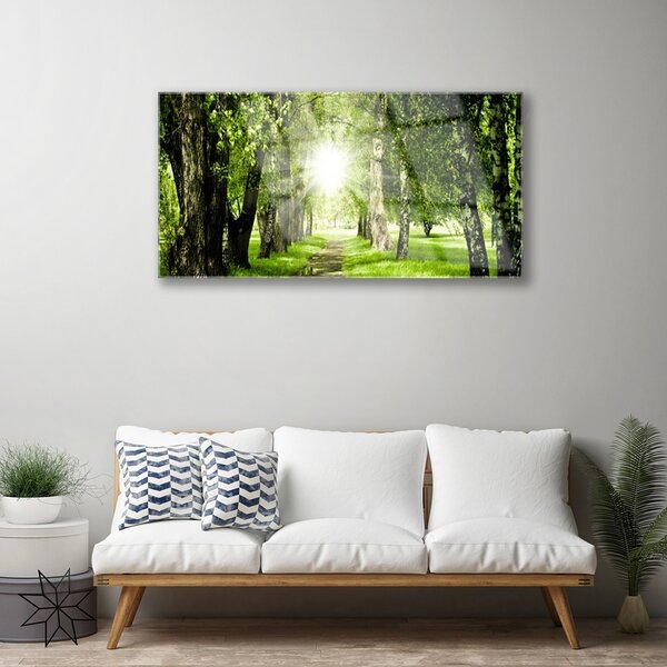 Skleneny obraz Les slnko chodník príroda 100x50 cm 2 Prívesky