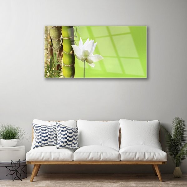Skleneny obraz Bambus stonka rastlina príroda 100x50 cm 2 Prívesky
