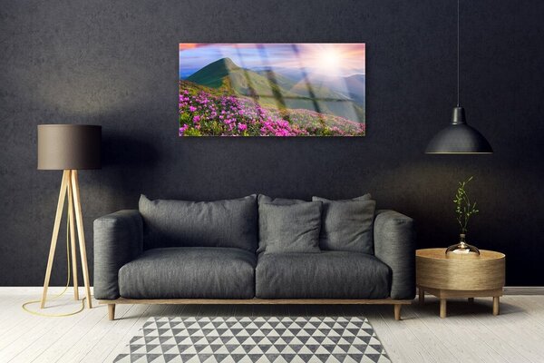 Skleneny obraz Hory lúka kvety príroda 100x50 cm 2 Prívesky
