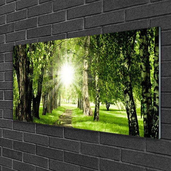 Skleneny obraz Les slnko chodník príroda 100x50 cm 2 Prívesky