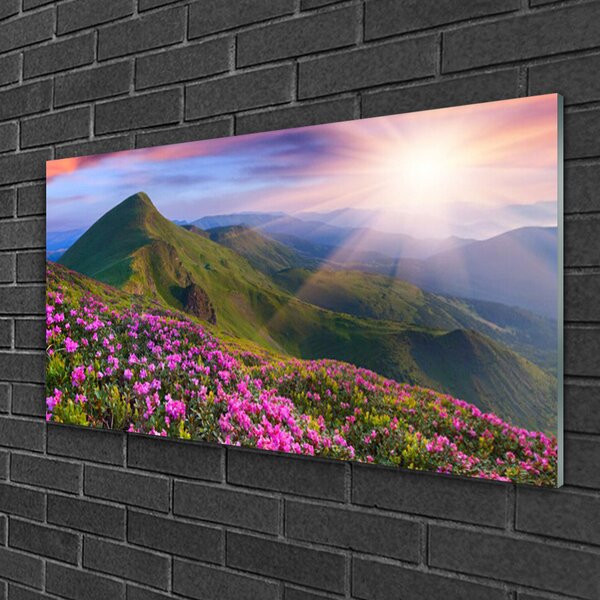 Skleneny obraz Hory lúka kvety príroda 100x50 cm 2 Prívesky