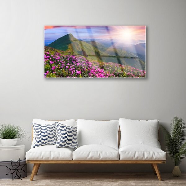 Skleneny obraz Hory lúka kvety príroda 100x50 cm 2 Prívesky