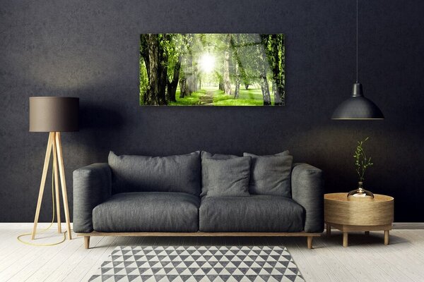 Skleneny obraz Les slnko chodník príroda 100x50 cm 2 Prívesky