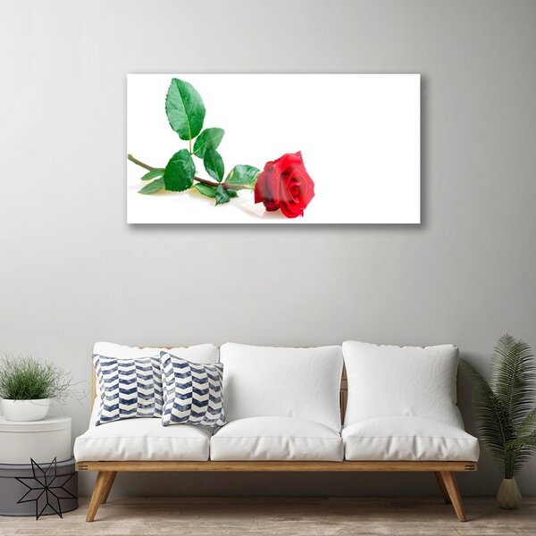 Skleneny obraz Ruže kvet rastlina 100x50 cm 2 Prívesky