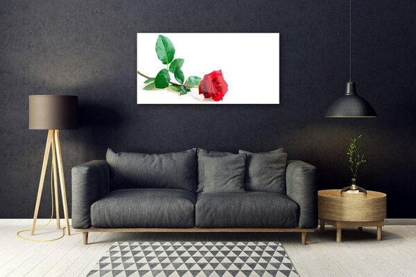 Skleneny obraz Ruže kvet rastlina 100x50 cm 2 Prívesky